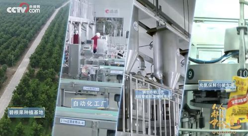 洽洽入選品牌信用建設典型案例，信息技術服務助推民族品牌發展