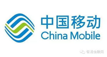 中國(guó)移動(dòng)318億重組鐵通，技術(shù)咨詢崗員工待遇成焦點(diǎn)